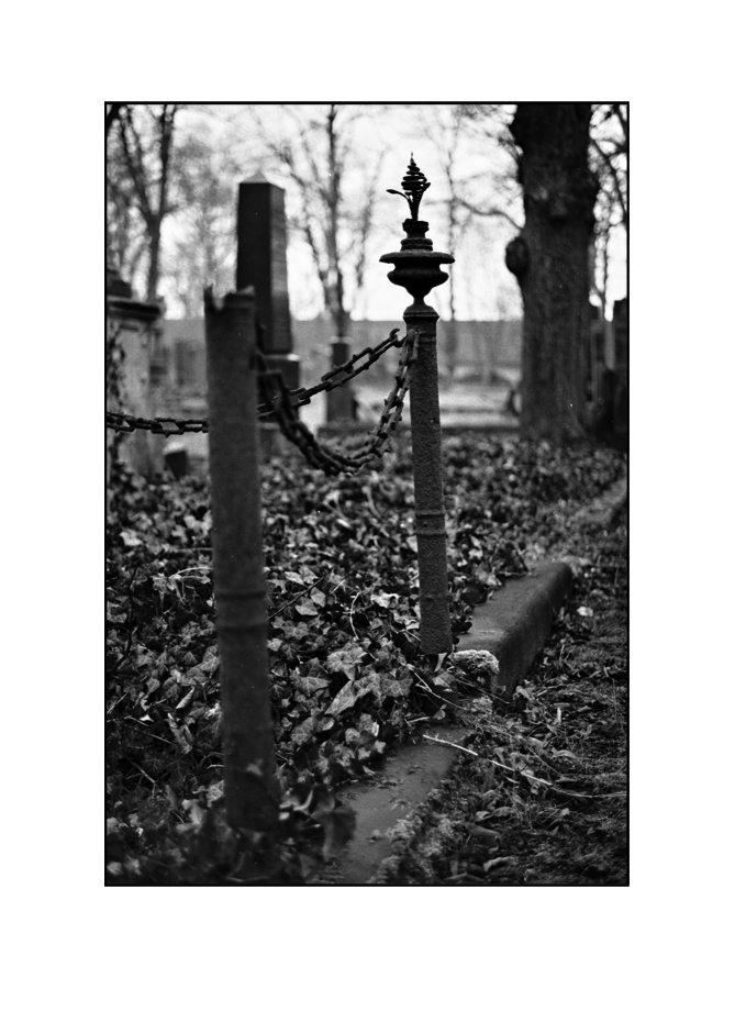 Friedhof Halle Saale